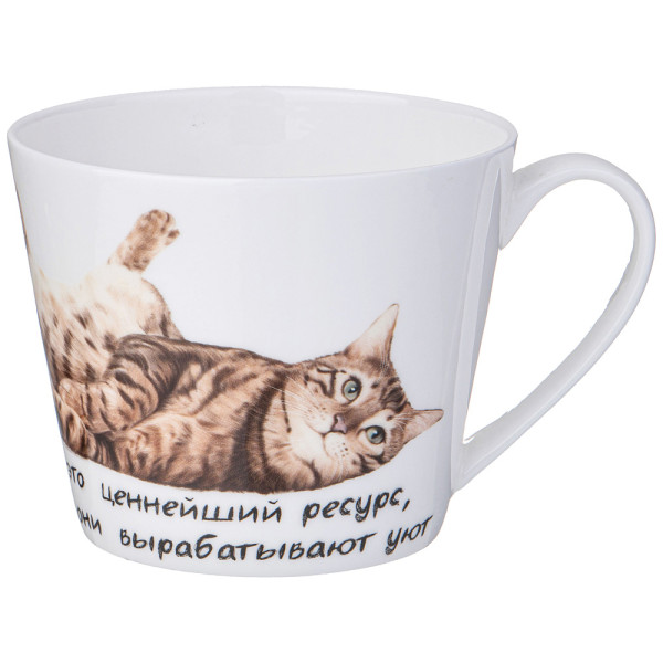 Lefard КРУЖКА "БЕРИ КОТА" 450 МЛ 104-971