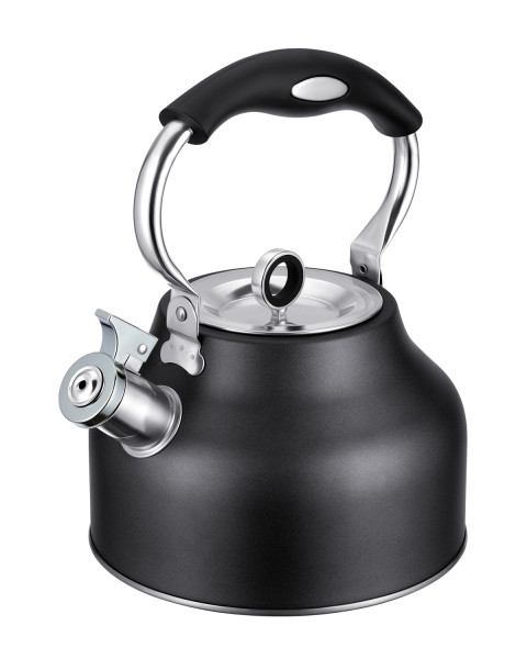 Regent Inox Чайник 2,5л со свистком Linea TEA 93-TEA-49