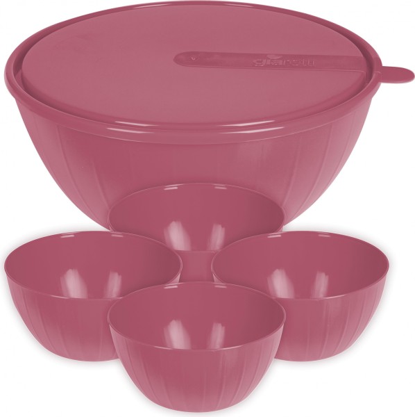 Plastic Centre Набор салатников Sugar Spice Vanilla (4х0,6л) + 5л с крышкой брусника SE187012054