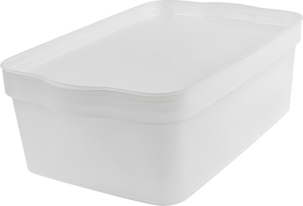 Ящик для хранения Keeplex Trendy 6 л 32х21,1х11 см матовый кристалл KL350211000