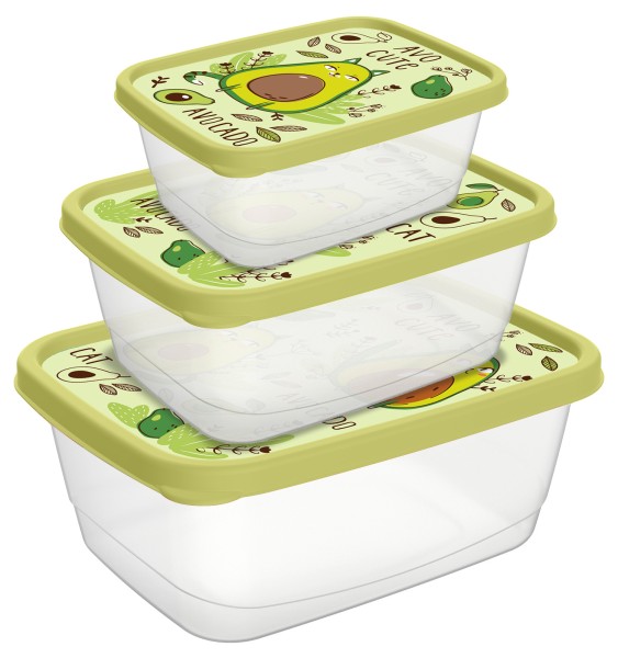 Idiland Комплект контейнеров для продукт. прямоуг. 3 шт. (0,5л+0,85л+1,5л) с декор. салатовый 221181820/04