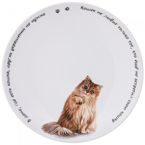 Lefard ТАРЕЛКА ЗАКУСОЧНАЯ "БЕРИ КОТА" 20,5 СМ 104-963