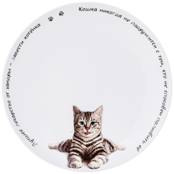 ТАРЕЛКА ЗАКУСОЧНАЯ LEFARD "БЕРИ КОТА" 20,5 СМ 104-966