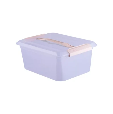 Контейнер для хранения Smartbox 13,7л (7) (960) 4348401